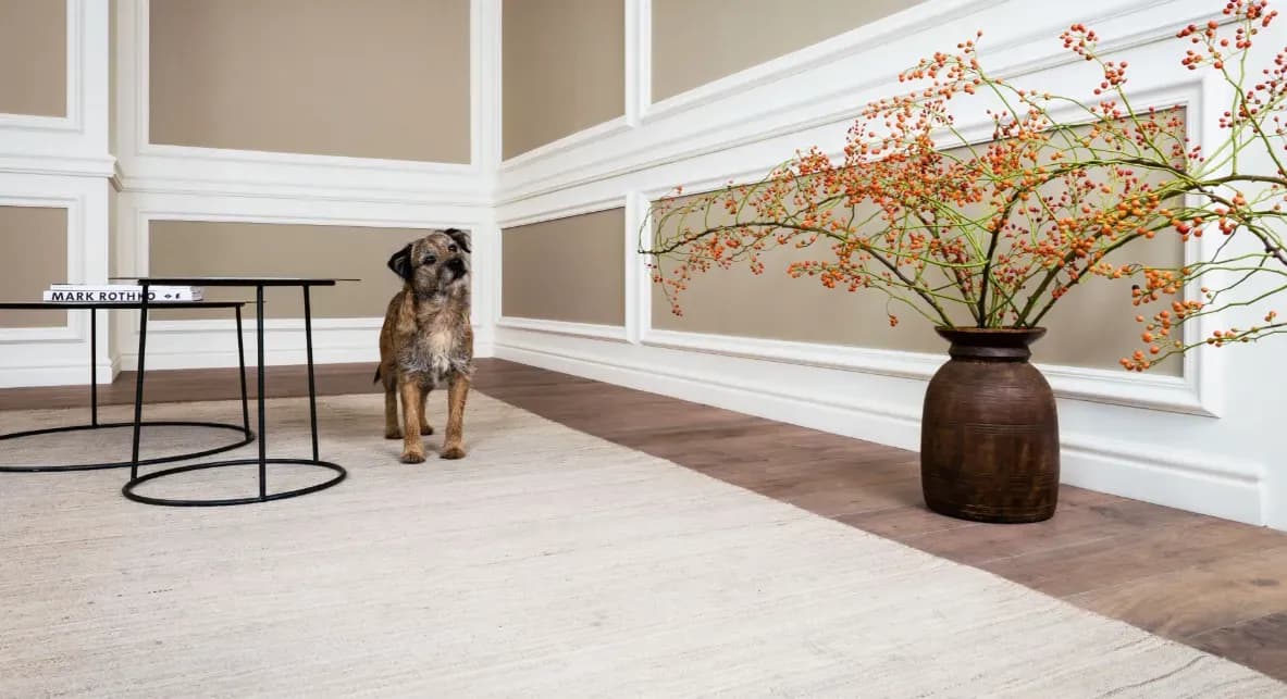 Wasserfeste Fußleisten online kaufen – Für Küche, Flur und Bad geeignet